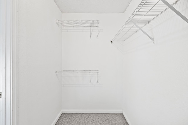 912 Patty Cv, La Vergne, TN 37086 - spacious closet featuring light carpet