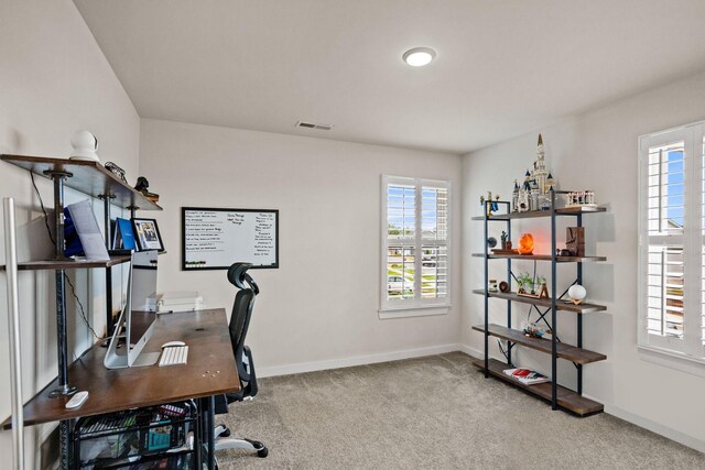 273 Christine Dr, Lebanon, TN 37087 - photo 34