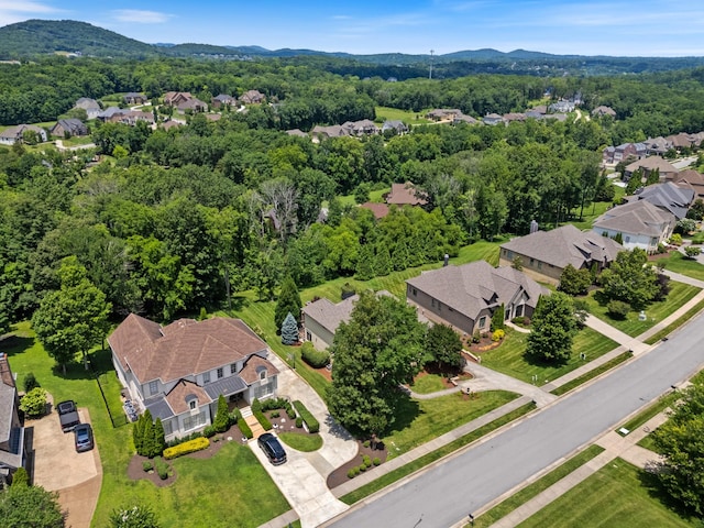 9626 Portofino Dr, Brentwood, TN 37027 - photo 47