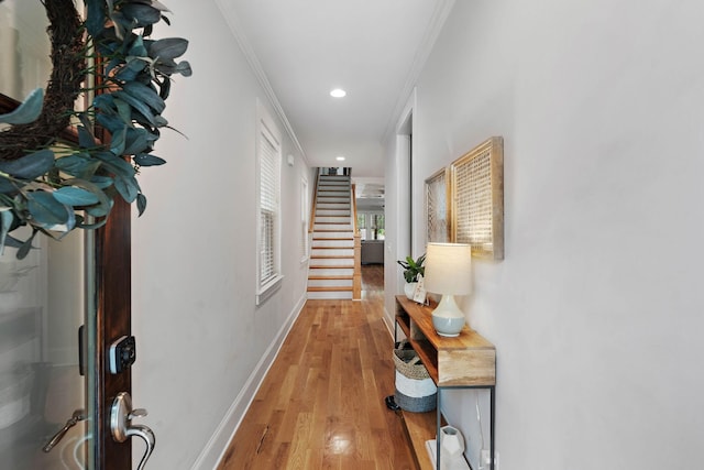 5317 Illinois Ave, Nashville, TN 37209 - photo 6