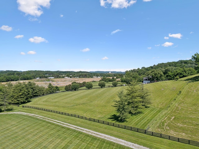 4750 Columbia Pike, Thompsons Station, TN 37179 - photo 49