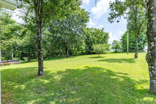 1689 Sumac Rd, Pulaski, TN 38478 - view of grassy yard