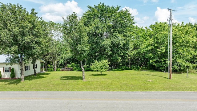 1689 Sumac Rd, Pulaski, TN 38478 - view of green lawn with view of wooded area