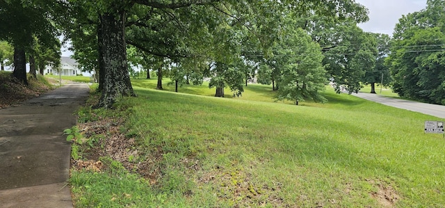 315 Seven Mile Ferry Rd, Cunningham, TN 37052 - view of green lawn featuring driveway