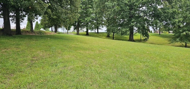 315 Seven Mile Ferry Rd, Cunningham, TN 37052 - view of grassy yard