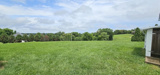 315 Seven Mile Ferry Rd, Cunningham, TN 37052 - view of grassy yard