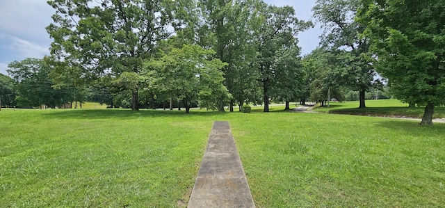 315 Seven Mile Ferry Rd, Cunningham, TN 37052 - view of property's community featuring a yard