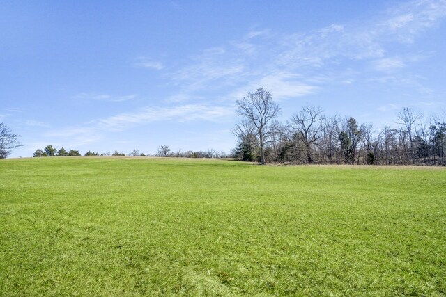 1212 Ussery Rd S, Clarksville, TN 37040 - photo 20