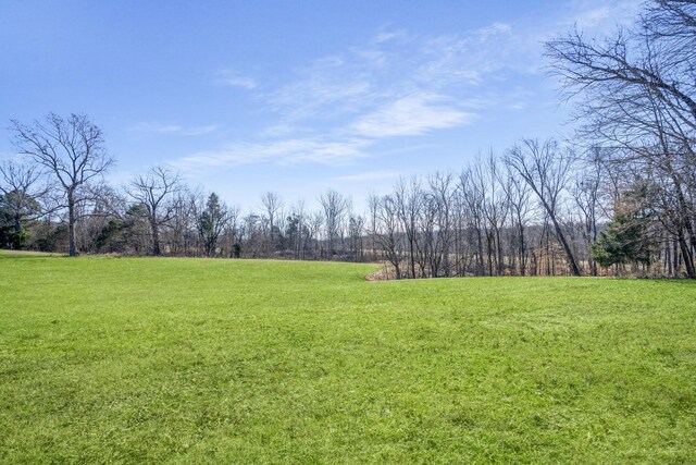 1212 Ussery Rd S, Clarksville, TN 37040 - photo 21