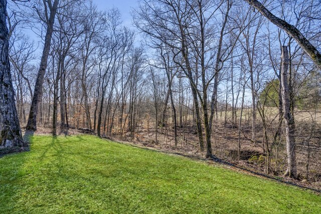 1212 Ussery Rd S, Clarksville, TN 37040 - photo 22