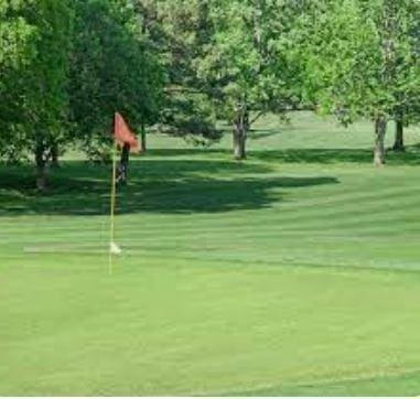 152 Mackenzie Way, Lewisburg, TN 37091 - view of community featuring a putting area, golf course view, and a yard