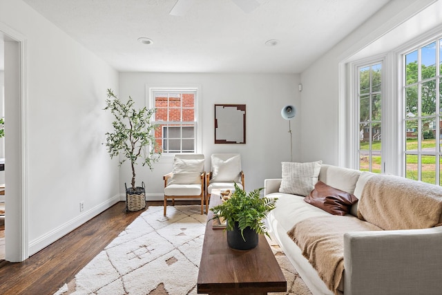 1203 Ardee Ave, Nashville, TN 37216 - living room featuring wood finished floors, a ceiling fan, and recessed lighting