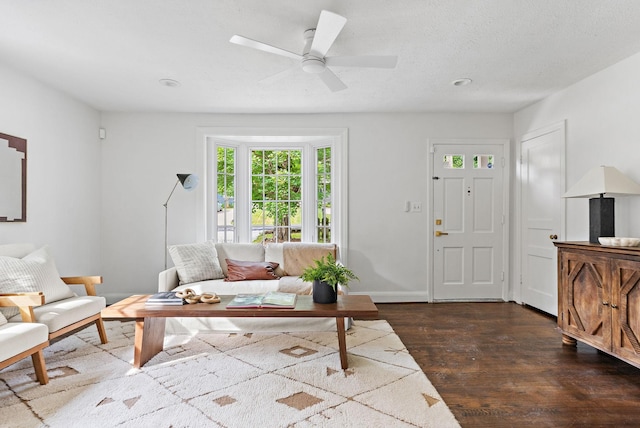 1203 Ardee Ave, Nashville, TN 37216 - living area with dark wood finished floors, ceiling fan, and recessed lighting