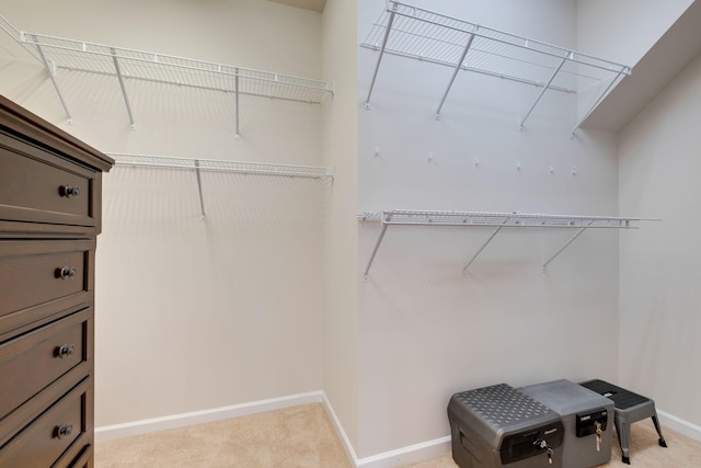 309 Patriotic Way, Mount Juliet, TN 37122 - spacious closet featuring light colored carpet