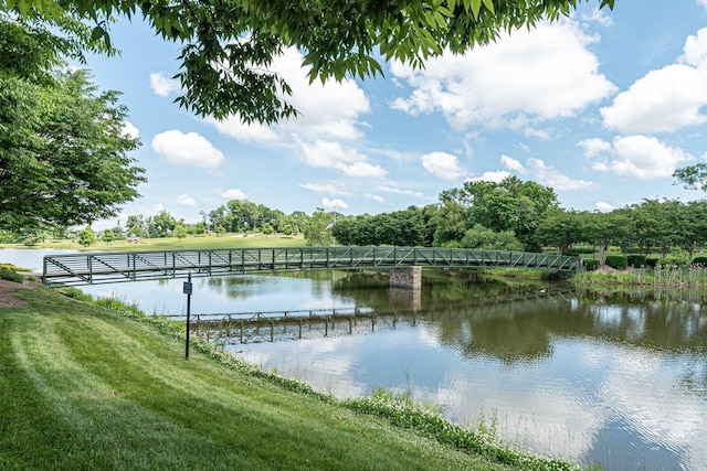 309 Patriotic Way, Mount Juliet, TN 37122 - water view
