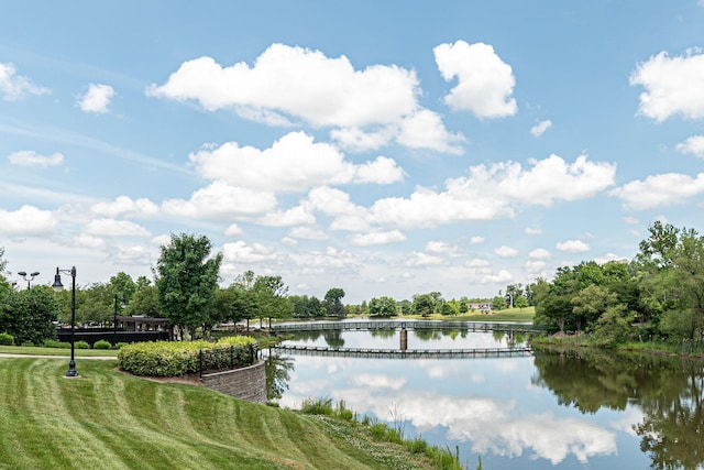 309 Patriotic Way, Mount Juliet, TN 37122 - water view