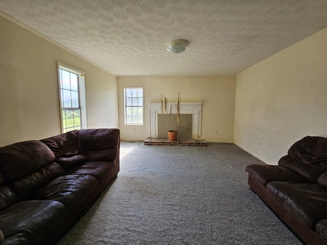 2740 Gladdice Hwy, Whitleyville, TN 38588 - living room featuring carpet, ornamental molding, and a textured ceiling