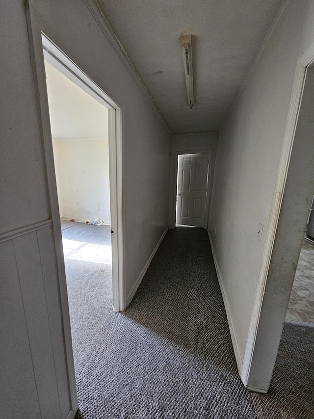 2740 Gladdice Hwy, Whitleyville, TN 38588 - hallway with carpet and baseboards