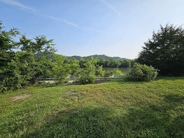 2740 Gladdice Hwy, Whitleyville, TN 38588 - view of green lawn