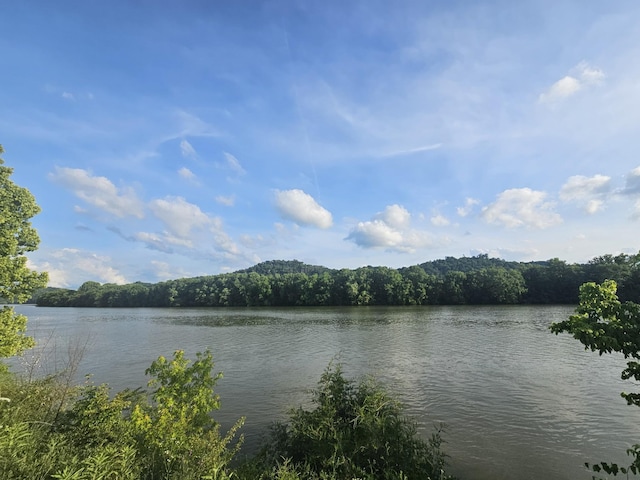 2740 Gladdice Hwy, Whitleyville, TN 38588 - water view with a forest