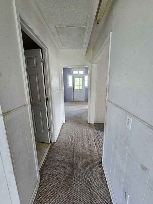 2740 Gladdice Hwy, Whitleyville, TN 38588 - hall featuring carpet, a textured ceiling, wainscoting, and ornamental molding