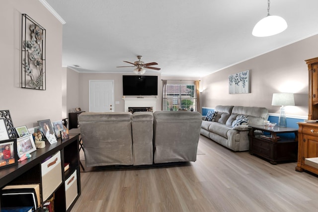 259 Mayflower Ln N, Madison, TN 37115 - living room featuring crown molding, ceiling fan, light wood-style floors, and a fireplace