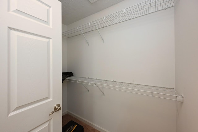 395 Devon Chase Hl Unit 3602, Gallatin, TN 37066 - view of spacious closet