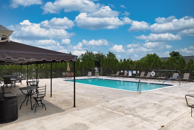 395 Devon Chase Hl Unit 3602, Gallatin, TN 37066 - community pool with a patio