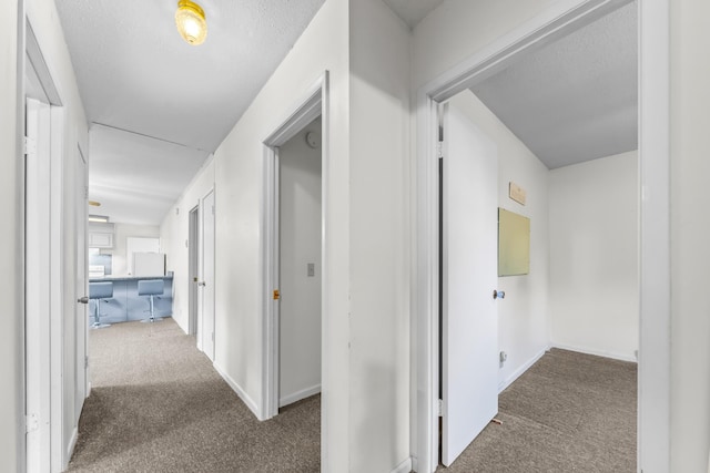 3892 Cedar St, Centerville, TN 37033 - corridor with carpet
