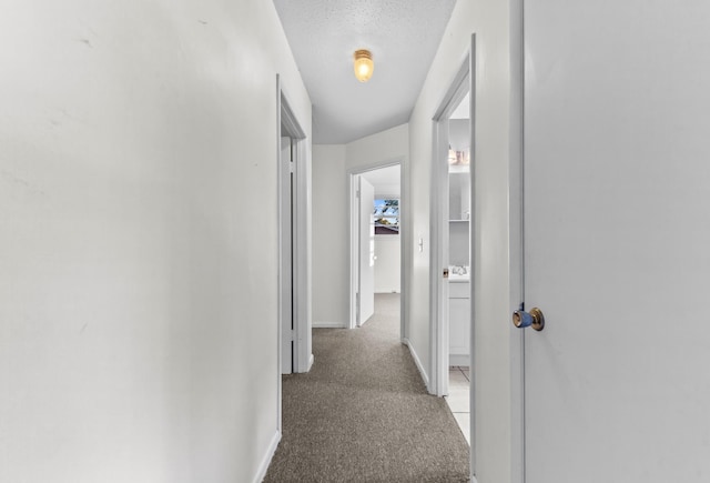 3892 Cedar St, Centerville, TN 37033 - hallway featuring light colored carpet and a textured ceiling
