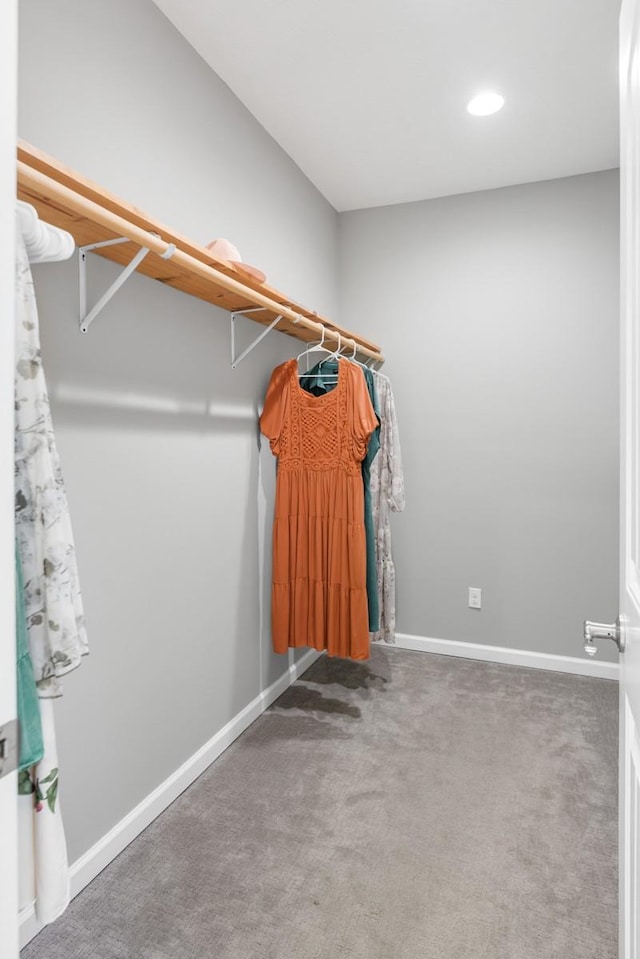 1250 Ed Seay Gregory Ln, Hartsville, TN 37074 - walk in closet featuring carpet floors