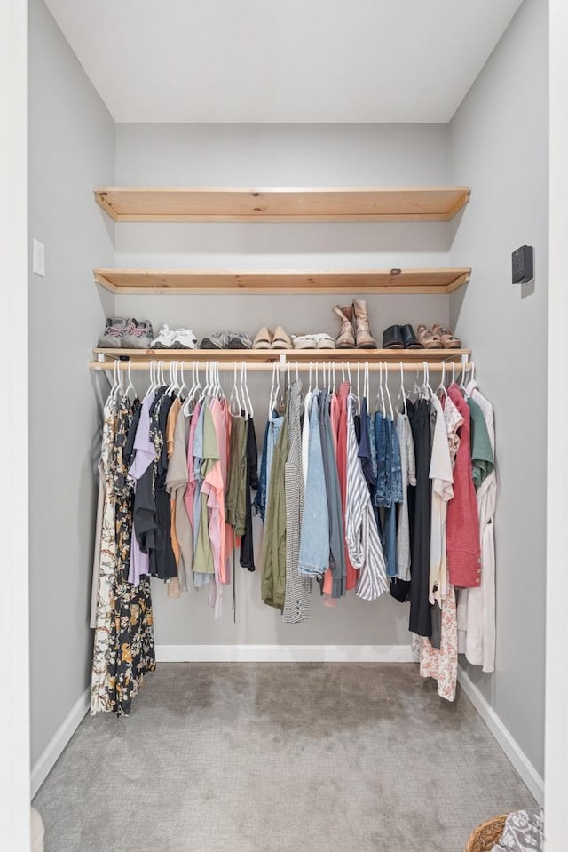 1250 Ed Seay Gregory Ln, Hartsville, TN 37074 - view of closet