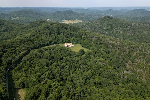 1250 Ed Seay Gregory Ln, Hartsville, TN 37074 - bird's eye view of a forest and a mountainous background