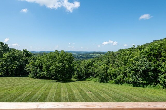 1250 Ed Seay Gregory Ln, Hartsville, TN 37074 - photo 64