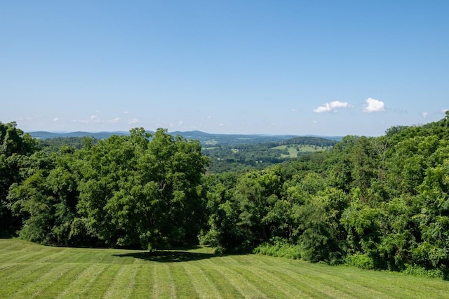1250 Ed Seay Gregory Ln, Hartsville, TN 37074 - photo 4