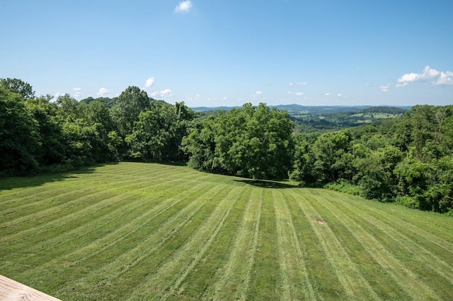 1250 Ed Seay Gregory Ln, Hartsville, TN 37074 - photo 66