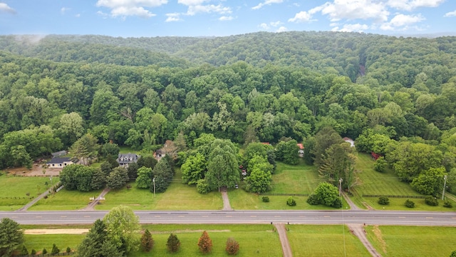 4051 New Highway 96 W, Franklin, TN 37064 - photo 2