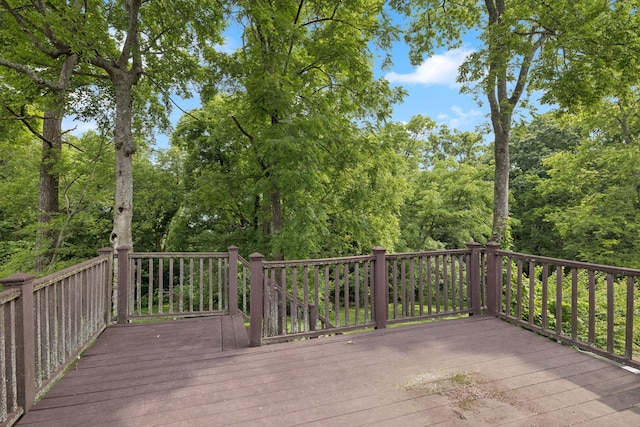 1124 Oak Creek Dr, Nolensville, TN 37135 - photo 57
