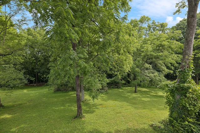 1124 Oak Creek Dr, Nolensville, TN 37135 - photo 58