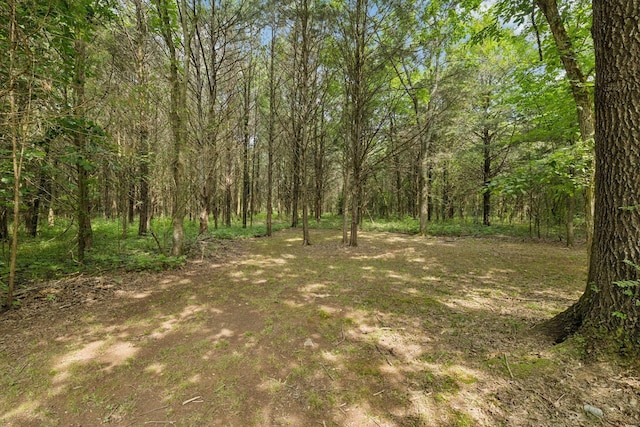 6031 Buckeye Valley Rd, Murfreesboro, TN 37129