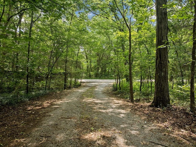 6031 Buckeye Valley Rd, Murfreesboro, TN 37129