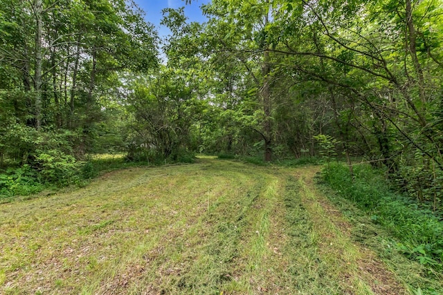 4106 Asbury Rd, Manchester, TN 37355 - view of yard featuring a wooded view