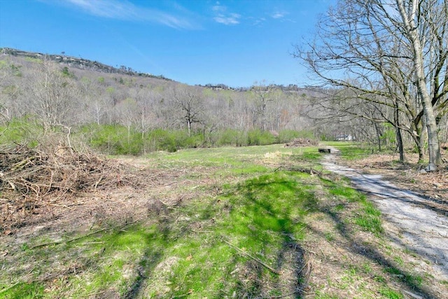 1009 Reads Lake Rd, Chattanooga, TN 37415