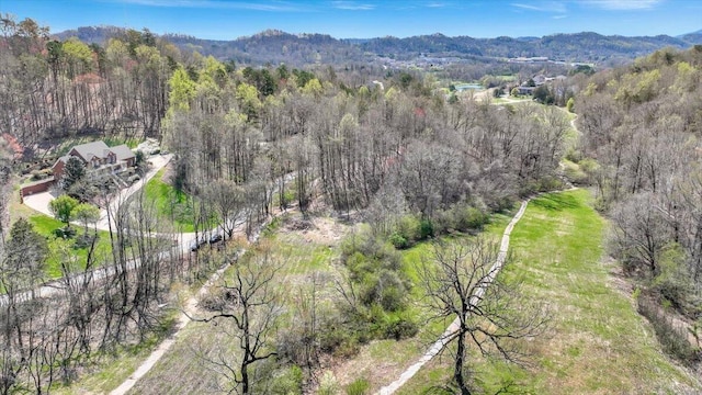 1009 Reads Lake Rd, Chattanooga, TN 37415