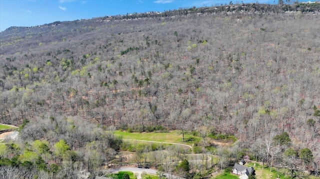 1009 Reads Lake Rd, Chattanooga, TN 37415