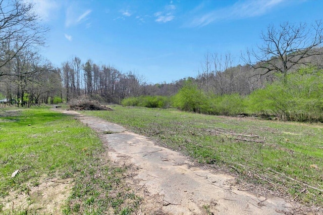 1009 Reads Lake Rd, Chattanooga, TN 37415