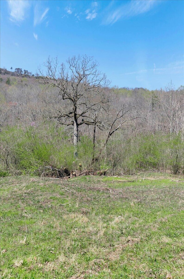1009 Reads Lake Rd, Chattanooga, TN 37415