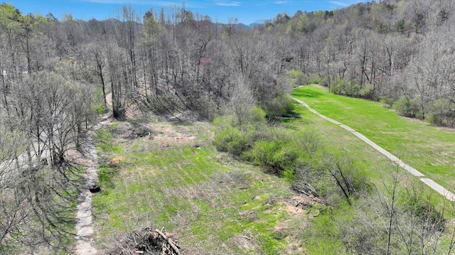 1009 Reads Lake Rd, Chattanooga, TN 37415