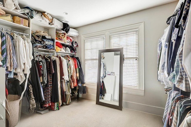 709 S Greenwood Ave S, Chattanooga, TN 37404 - walk in closet with carpet