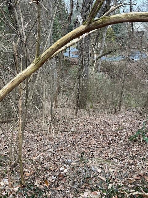 1007 Evanwood Dr E, Lookout Mountain, TN 37350 - photo 7